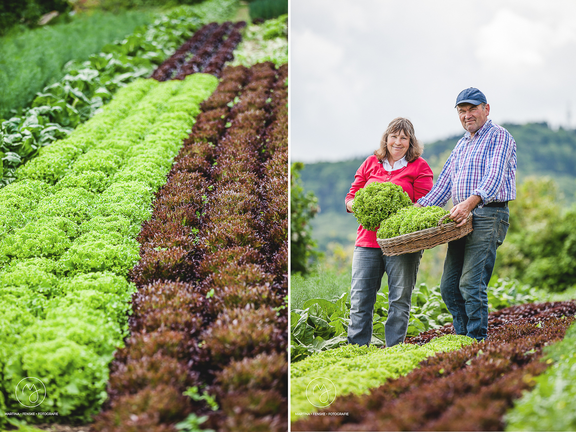 Fotograf Gundelfingen, Martina Fenske, Biohof Hiss, Bauernhof, Naturfotografie