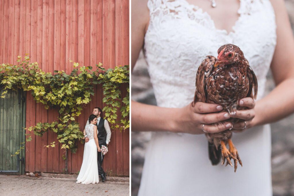 Brautpaar vor roter Wand. Braut mit Huhn. Hochzeitsfotograf Freiburg