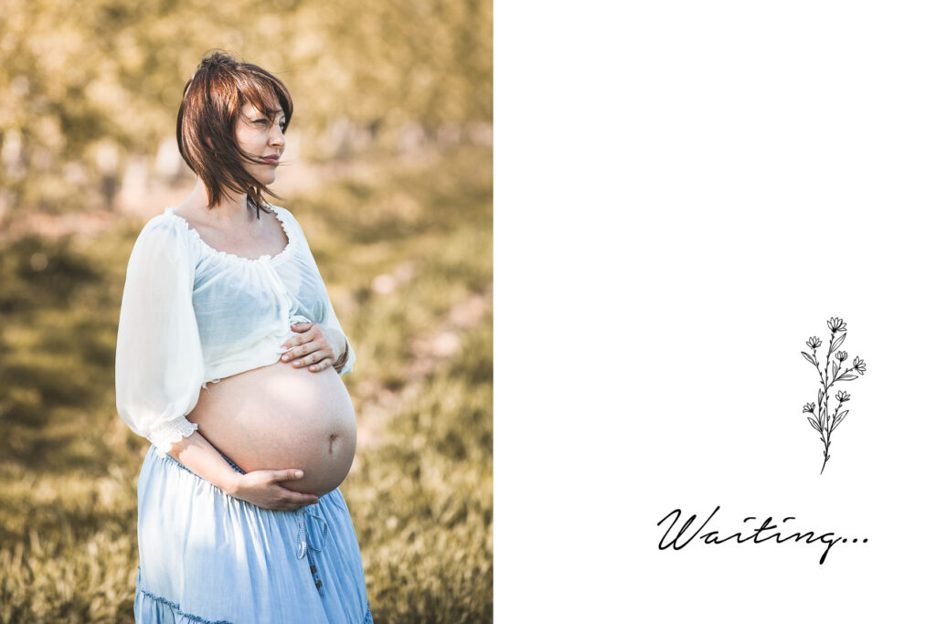 Schwangere mit Babybauch in der Natur. Familienfotograf Freiburg